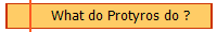 What do Protyros do ?